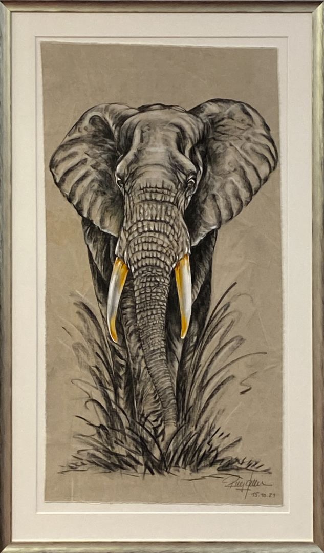Elefant Salama