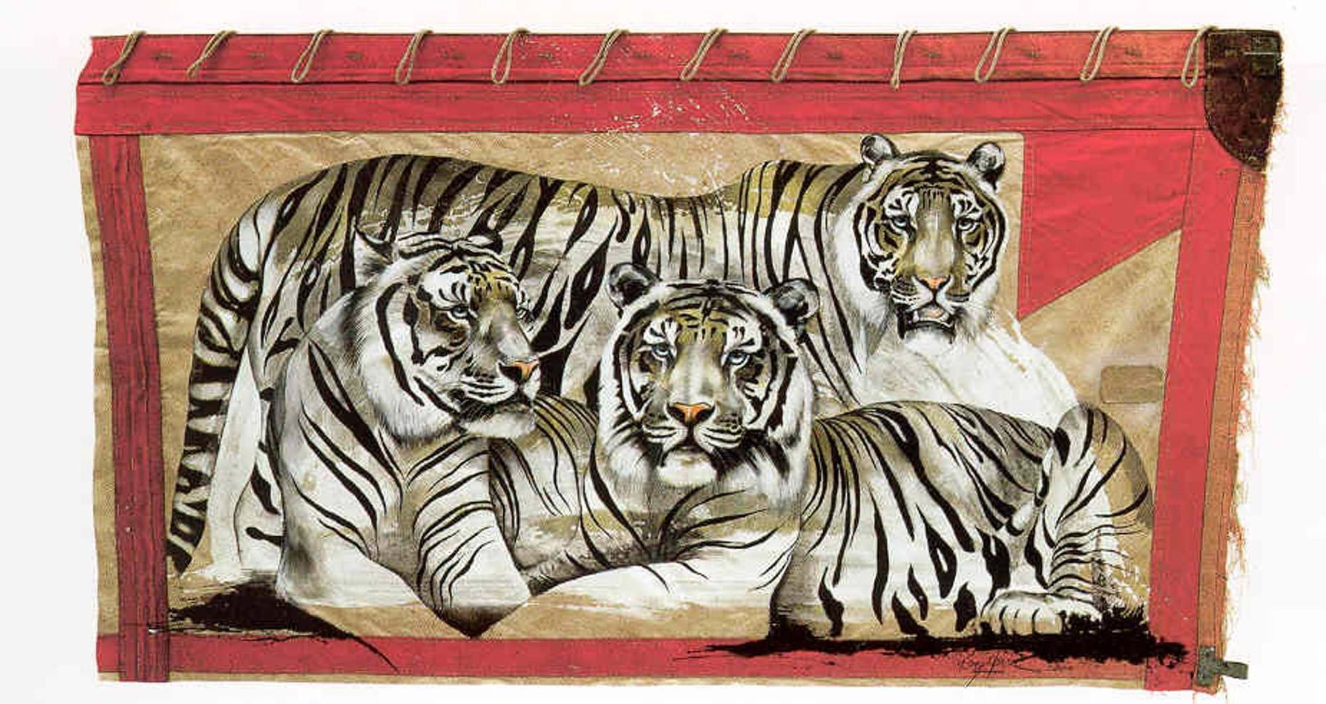Tiger Trio 22,5 x 50cm