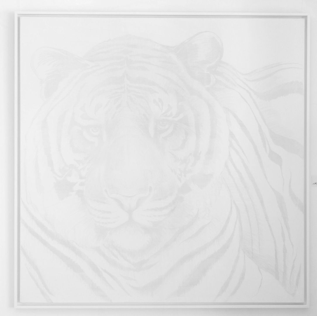 Tiger white