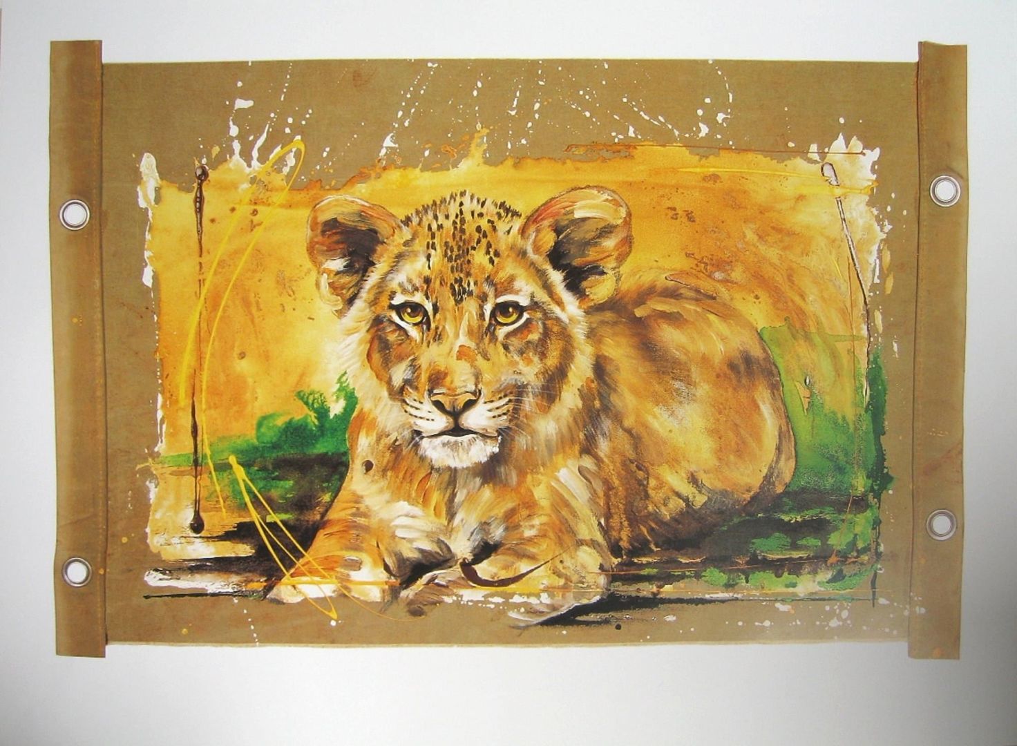 Young Lion 60 x 80