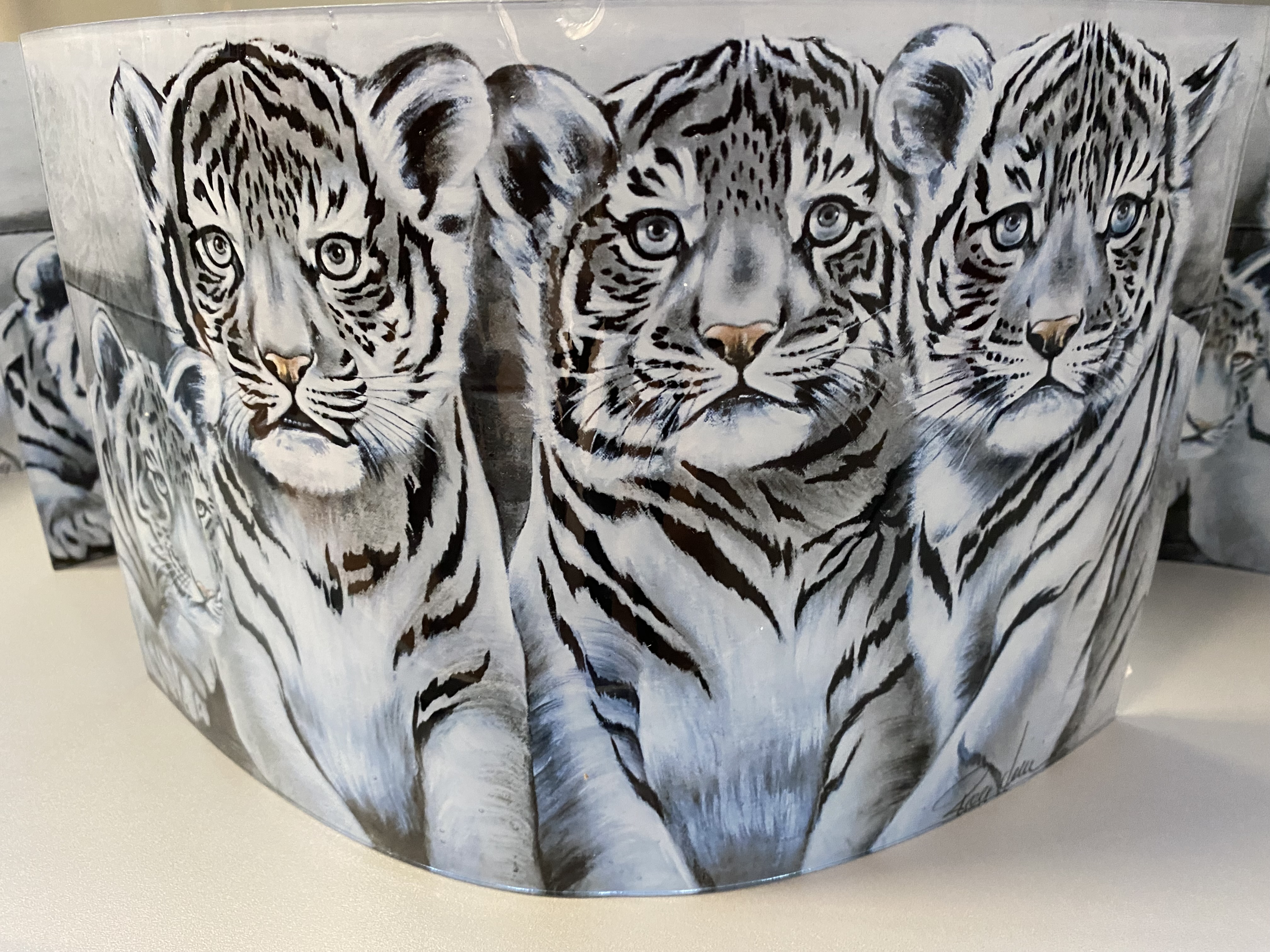 3D Bild gebogen Tigerfamilie