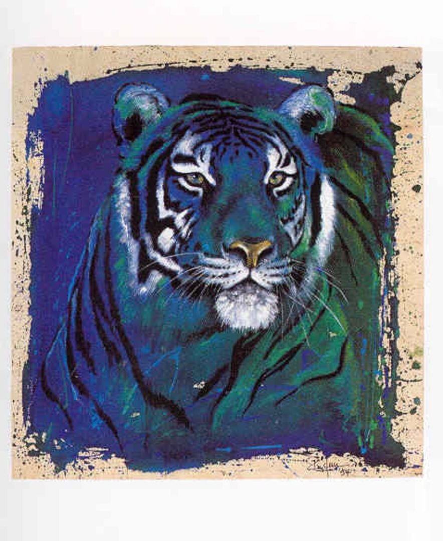 Eyes of the Tiger 60 x 50cm